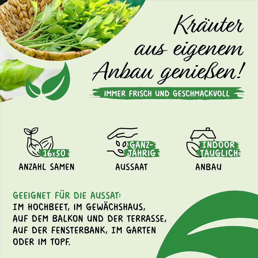 Prademir – Kräutersamen Set aus 16 beliebten Küchenkräutern – Kräuter Anzuchtset mit 100% Natursamen aus Portugal – Kräuter Saatgut con orégano, tomillo, mejorana, rosamarina, eneldo, albahaca, salvia uvm