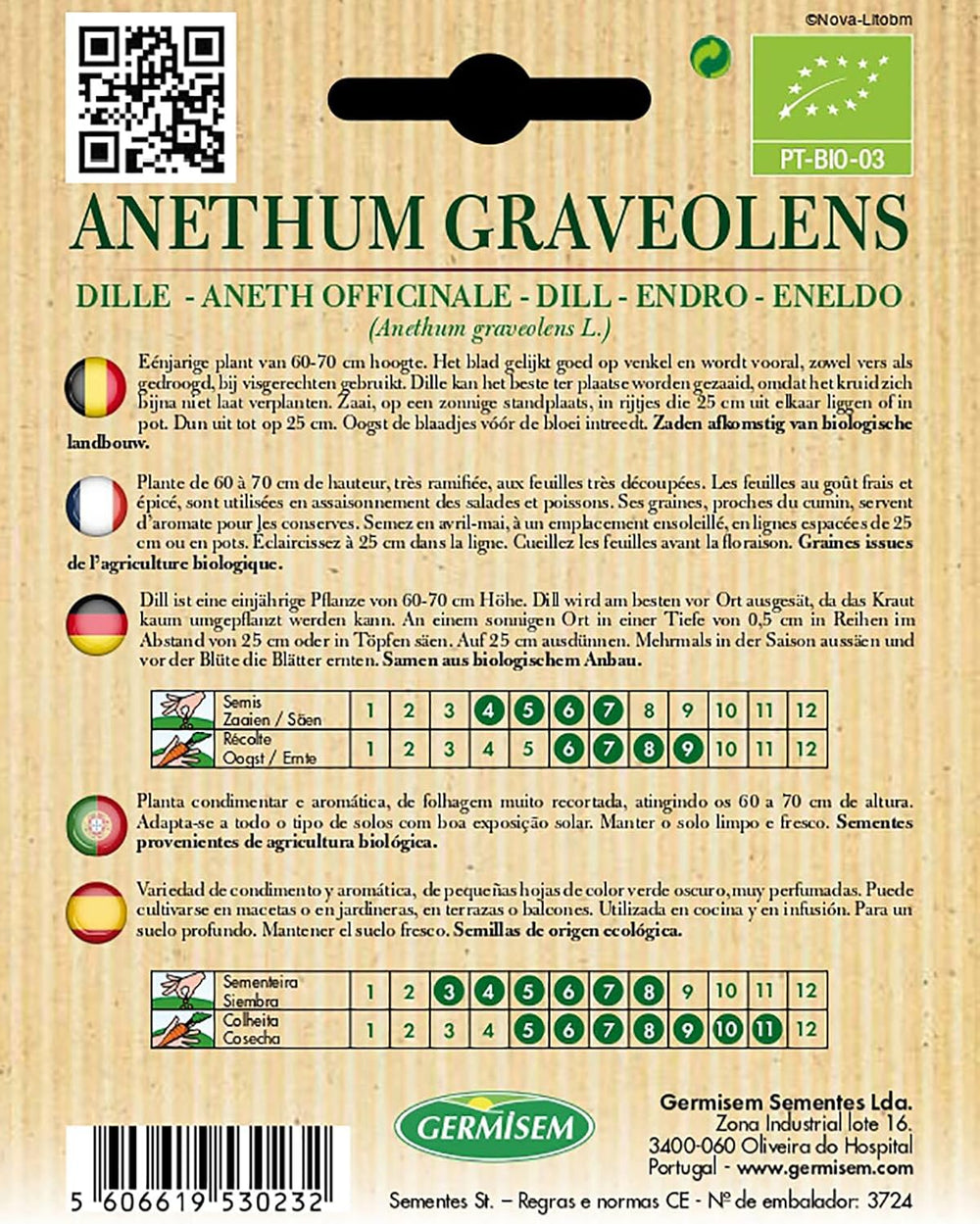 Dill ANETHUM GRAVEOLENS, ECBIO1107