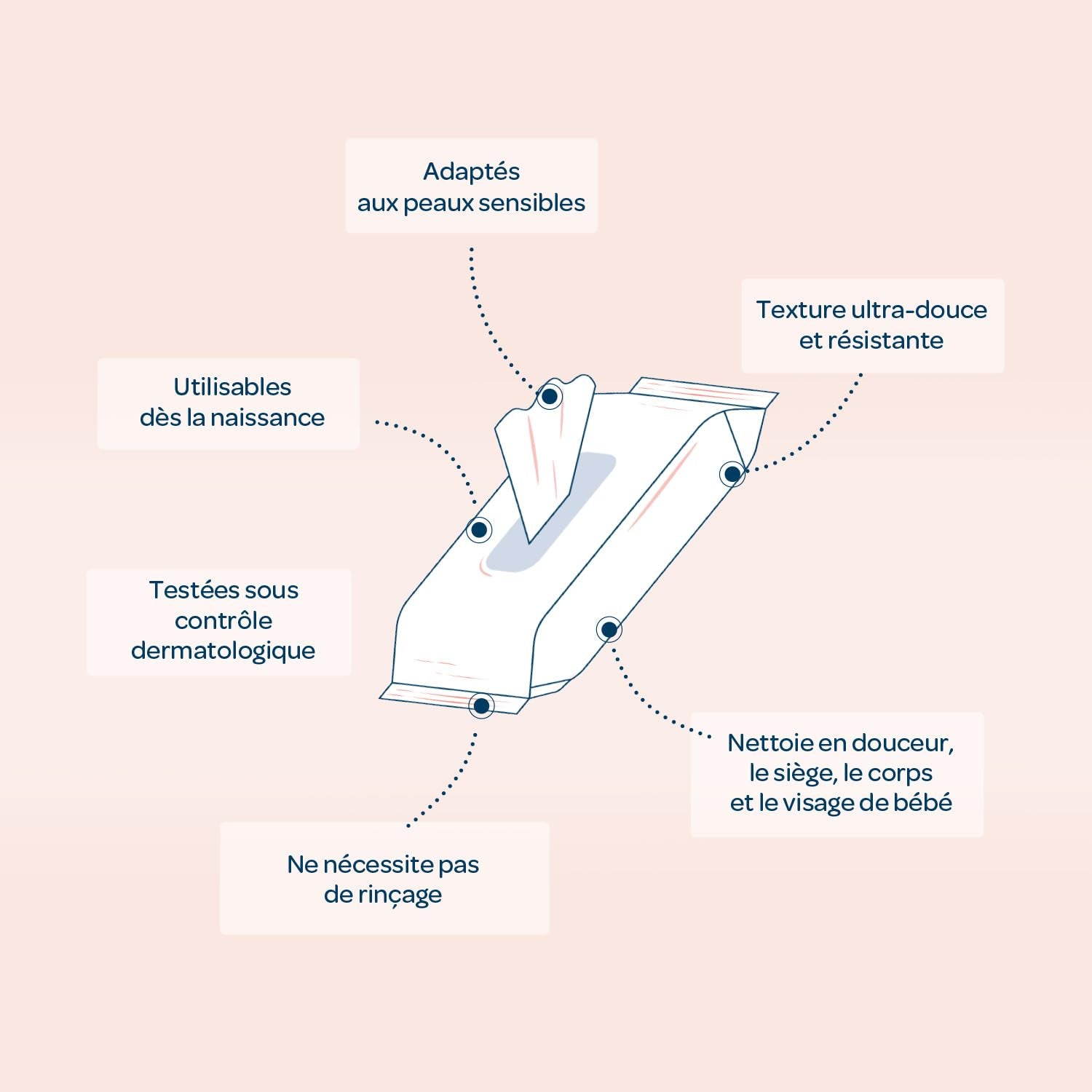 BIOLANE - Pack de 12 - Toallitas húmedas para bebés con leche de tocador - Bebés - 864 Toallitas húmedas para bebés - Limpia e hidrata - Para pieles sensibles - 98% de origen natural - Desde el nacimiento