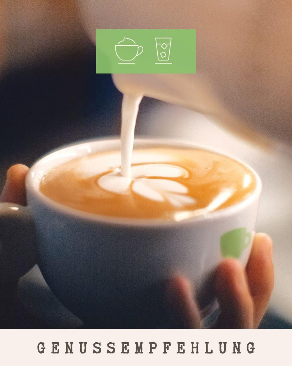 Coffee - Tempixque I 100% Arabica I Kaffeebohnen 1kg I Ideal für Vollautomat, Brühkaffee und French Press mit schokoladig, nussigen Aromen I mittlere Röstung