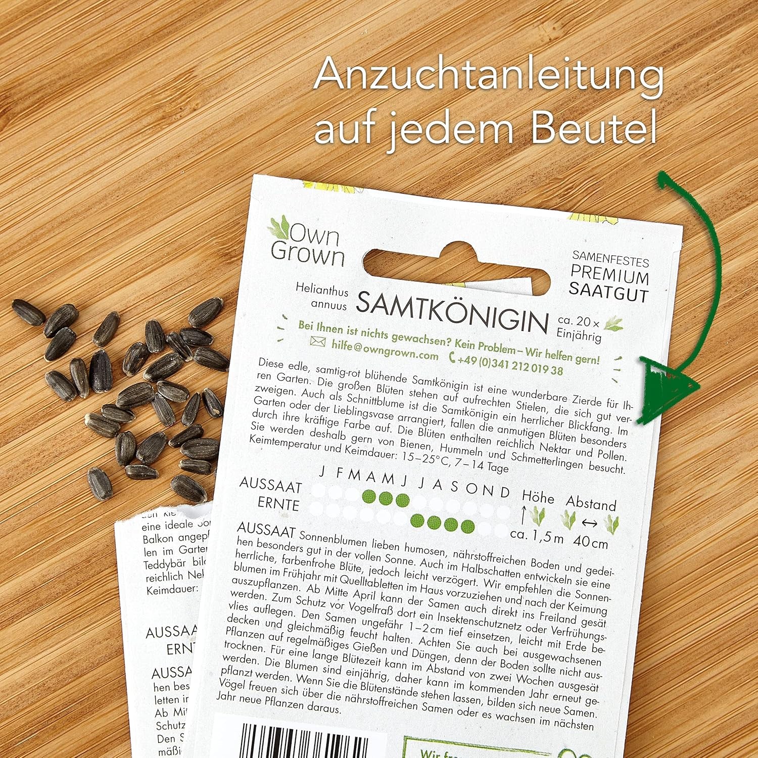 Semillas de girasol de disco amarillo (Helianthus annuus): Semillas de girasol de primera calidad, Semillas de girasol para cultivar unas 20 plantas de girasol - Semillas de flores aptas para insectos de OwnGrown