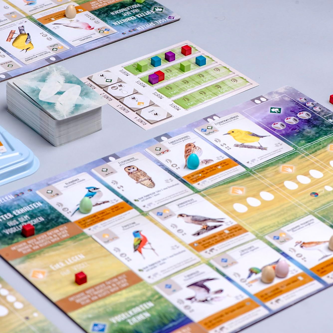 Feuerland Spiele 104-146-901 63558 Wingspan Juego de mesa Edición alemana - Kennerspiel des Jahres 2019 (Premio de la crítica)