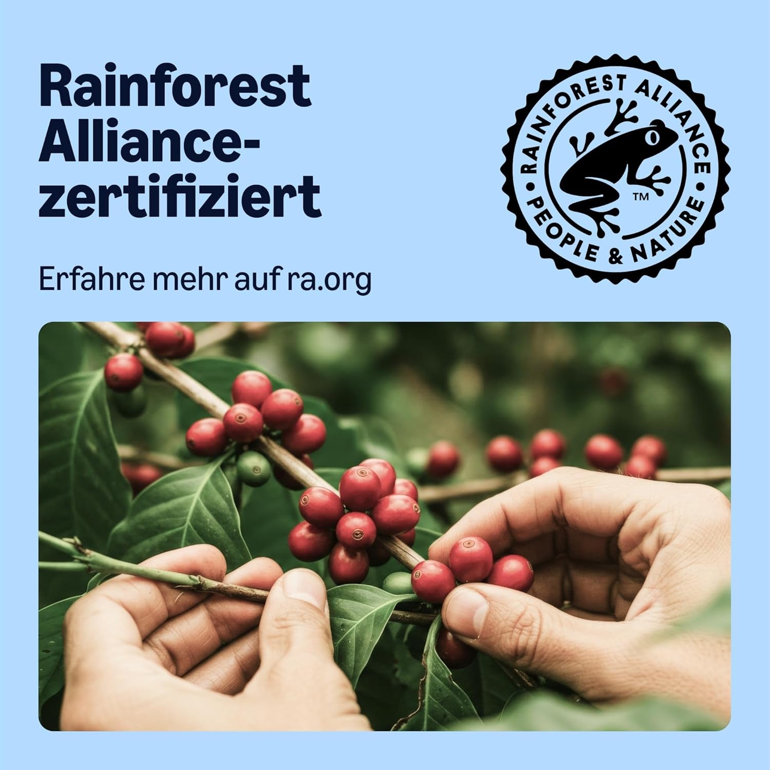 by Amazon Entkoffeinierte 100% Arabica-Kaffeepads, geeignet für Senseo-Maschinen, mittlere Röstung, 36 Stück (1 Packung mit 36 Stück) – Rainforest Alliance-zertifiziert