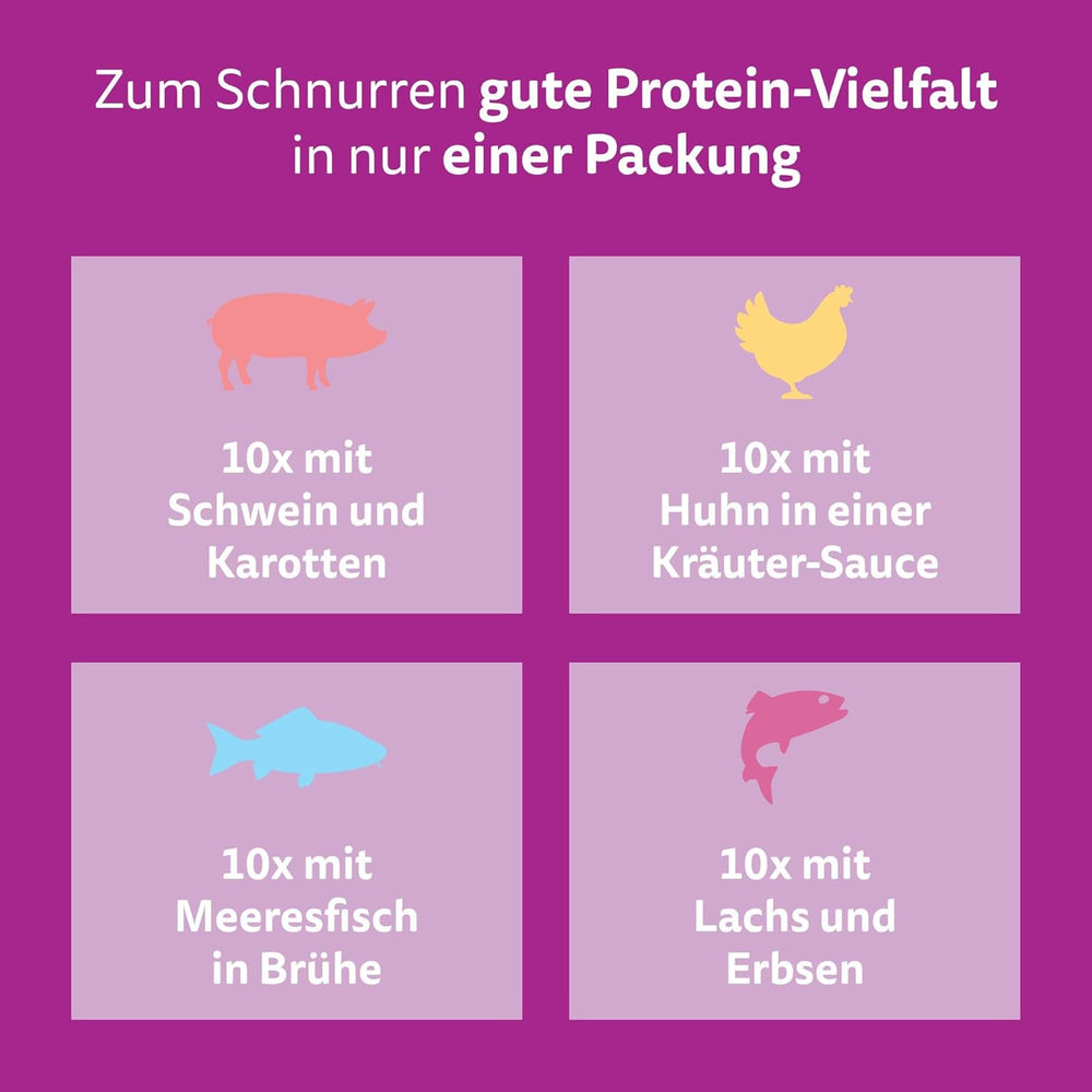 WHISKAS Hrană umedă aromatică pentru pisici în sos 40 x 85g Selecție de pește