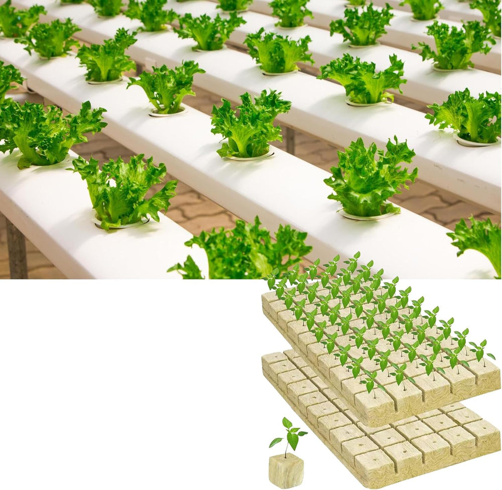 50 Piezas Estera de Cultivo de Lana Mineral, Cubo de Lana Mineral, Aislamiento de Lana Mineral, Estera de Cultivo de Lana Mineral con Tijeras y Guantes para Cultivo sin Suelo, Hidroponía y Trasplante