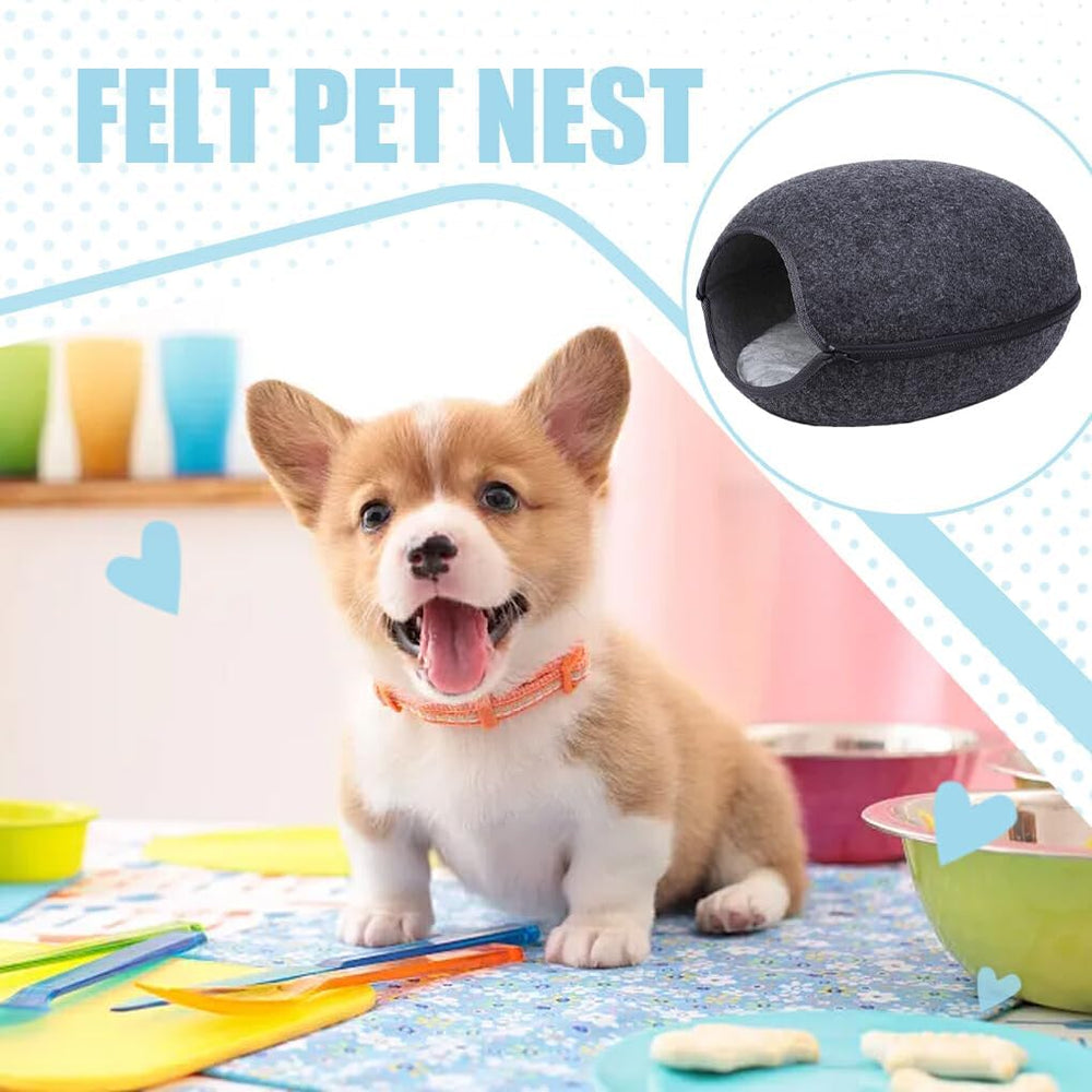 Animale de companie, câini, antrenament la oliță, scutece și protecție pentru podele