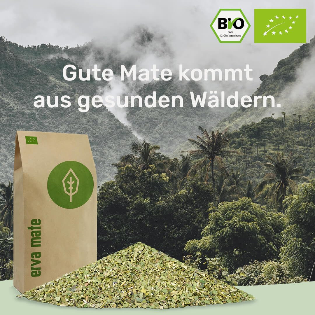 Ceai Mate BIO 1KG ● Proaspăt și verde ● Yerba Mate original ● Uscat la aer ● Fără fum ● Fără plastic ● Echitabil ● Ceai Mate din frunze de Mate, ramuri de Mate și pudră de frunze de Mate ● DE-ÖKO-006