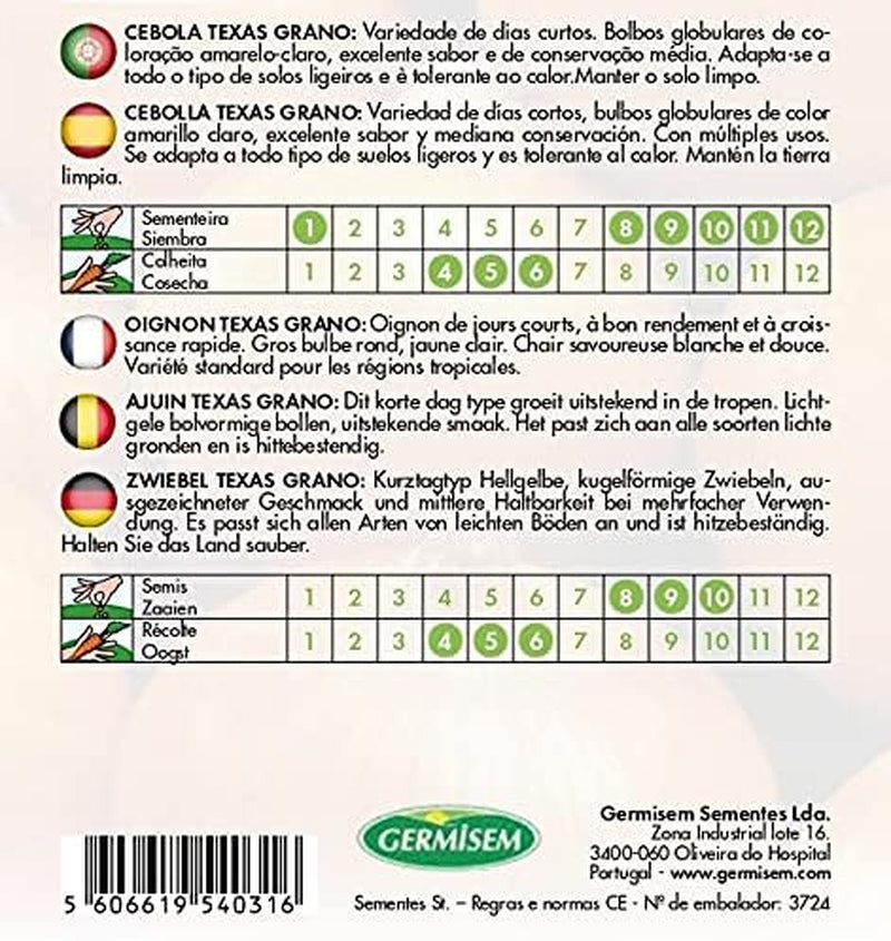 Zwiebel TEXAS GRANO