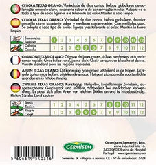Zwiebel TEXAS GRANO