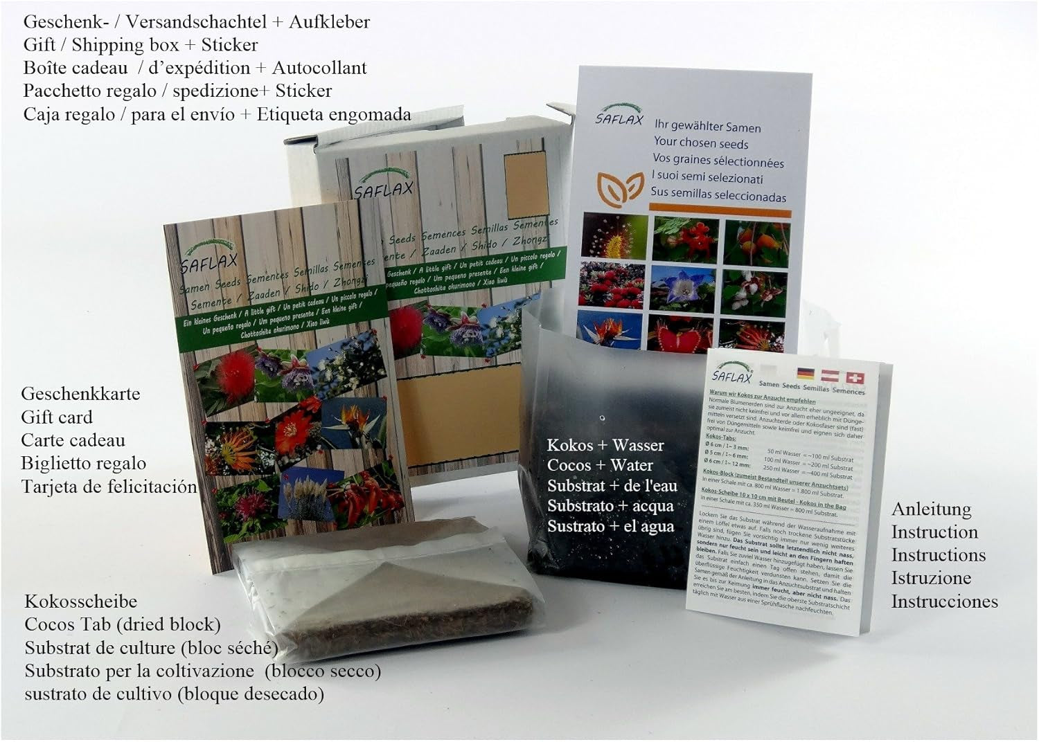 SAFLAX - BIO - Diente de león - 400 semillas - Taraxacum officinale