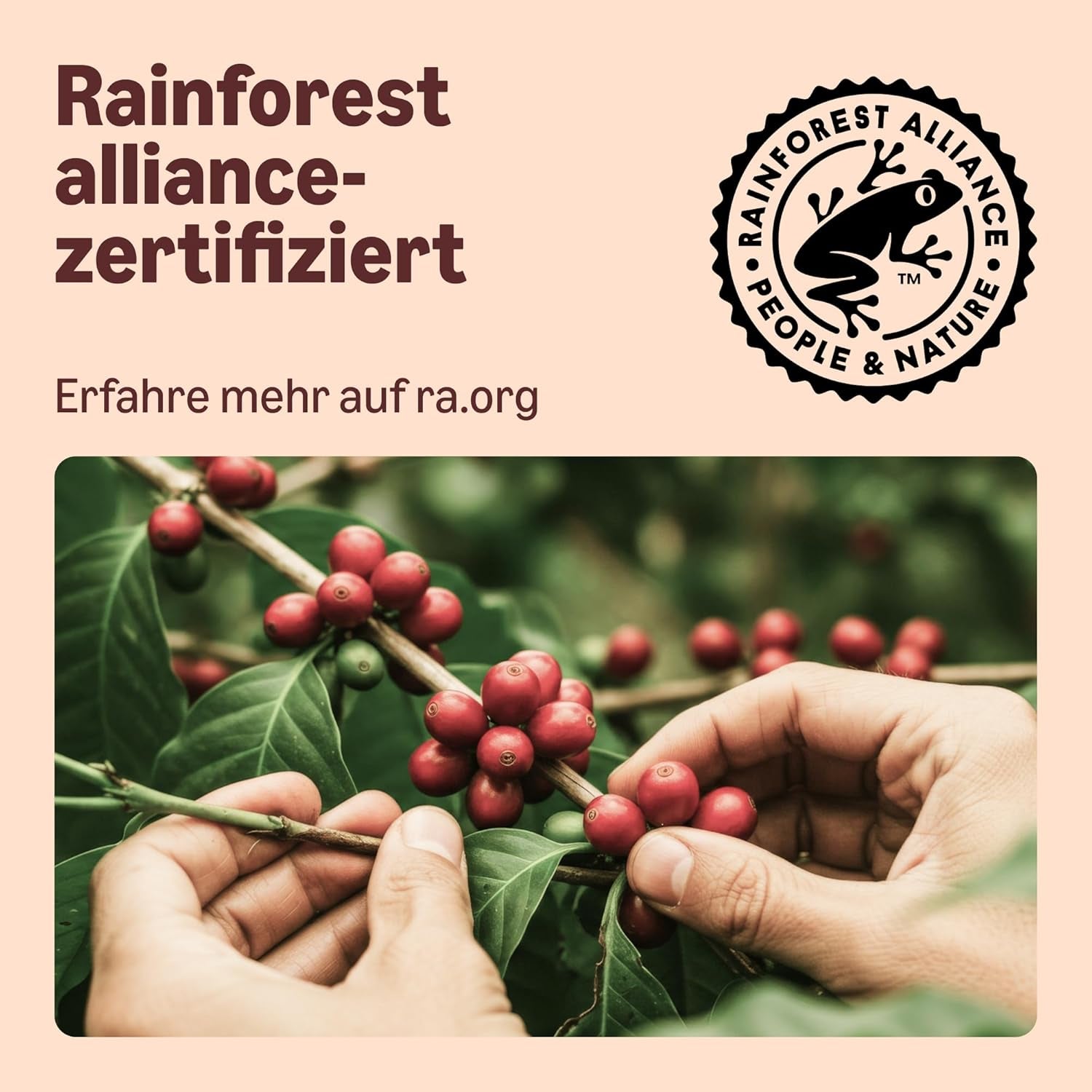 By Amazon Hauskompostierbare Kaffeekapseln, kompatibel mit Nespresso, 100 % kolumbianischer Arabica, 20 Stück – Rainforest Alliance-zertifiziert