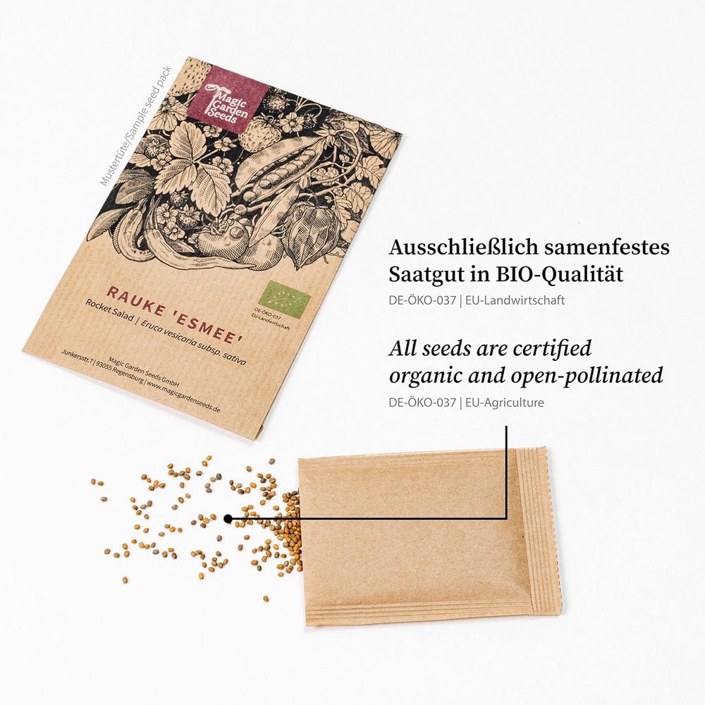 Nuestras plantas favoritas: plantas perennes y flores de verano para amantes de las flores (orgánicas) - Set de regalo de semillas con 6 hermosas variedades para una explosión floral salvaje - ¡te hace feliz!