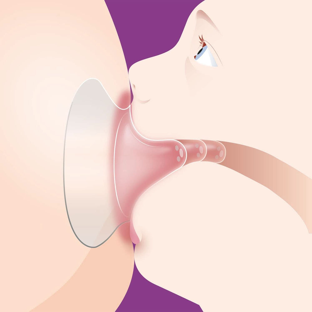 Protector de pezón Philips Avent (modelo SCF153/03) Accesorios Alimentación y Lactancia Tienda Bebe Naty