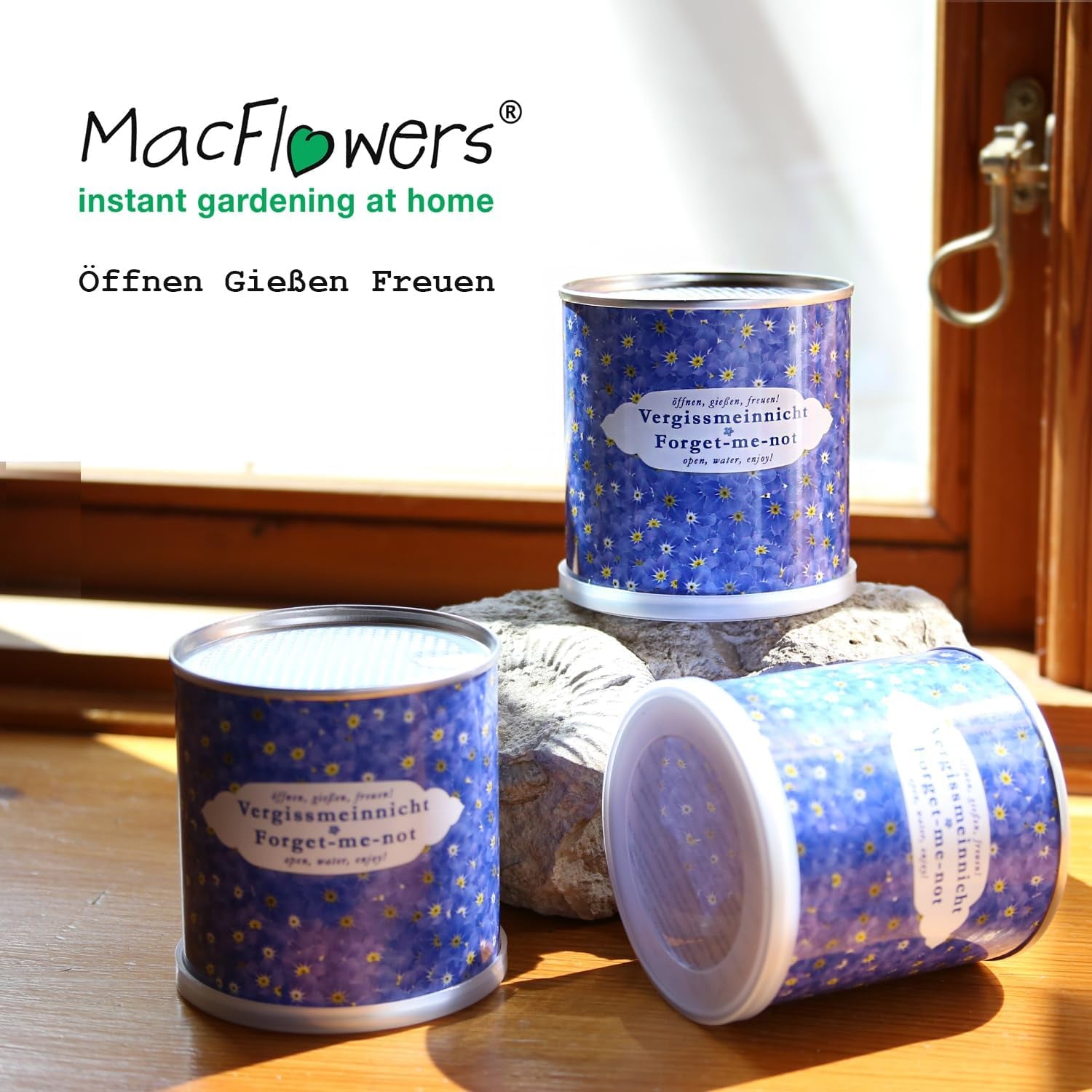 No me mires en una jardinera | Kit de crecimiento como regalo especial | Abrir, agua, disfrutar | Para despedirte o como agradecimiento.