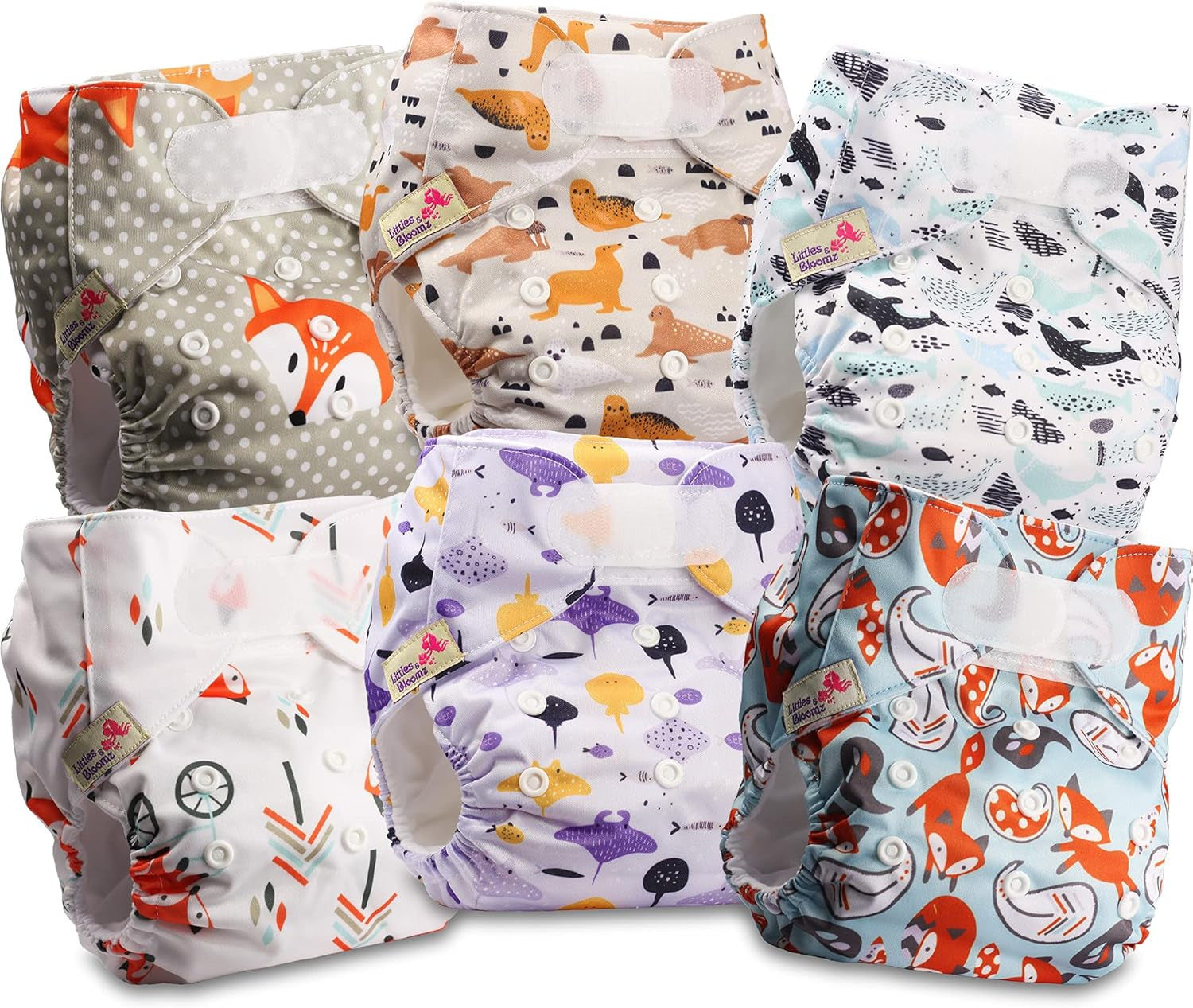 Littles and Bloomz Pañal reutilizable FLV2-0602, cierre de gancho y bucle estándar, 6 pañales