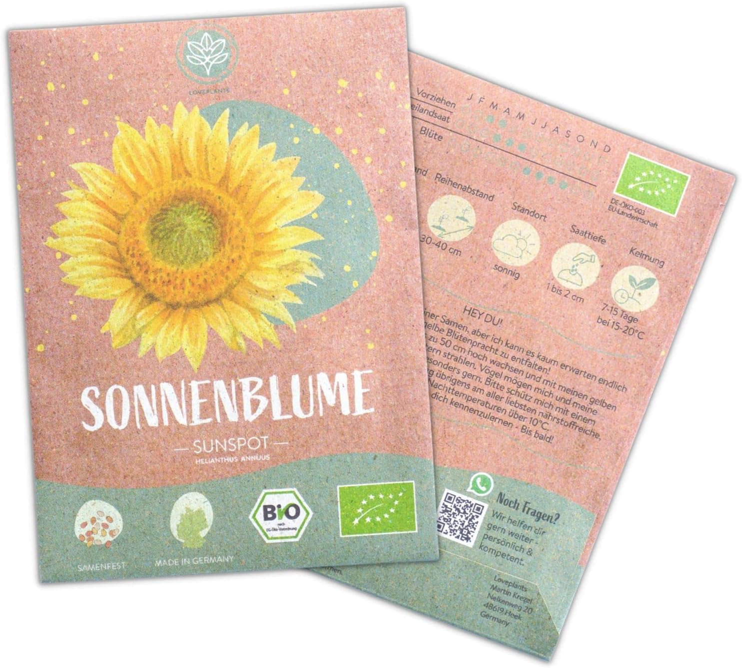 Pipas de girasol ecológicas, ramificadas, 20 pipas de girasol con alta tasa de germinación, pipas de girasol para jardín, balcón, parterre o regalo para invitados. Semillas de flores de polinización libre.