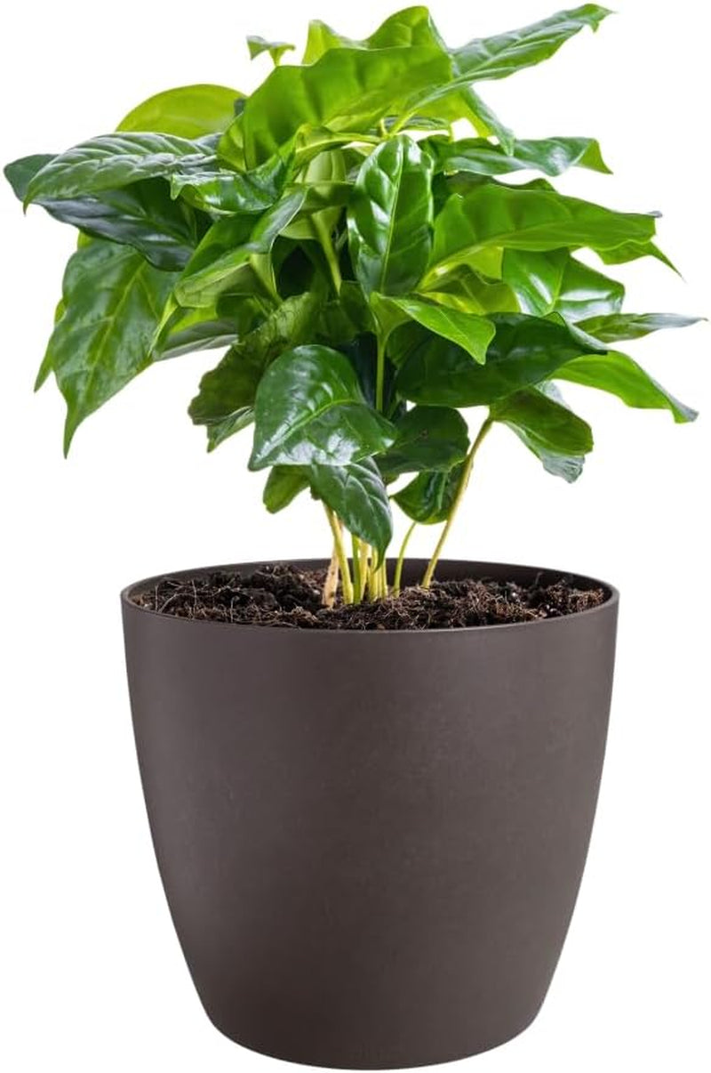 elho The Coffee Collection, ghiveci rotund de interior, 18 cm, fabricat din zaț de cafea și plastic reciclat - maro/maro espresso