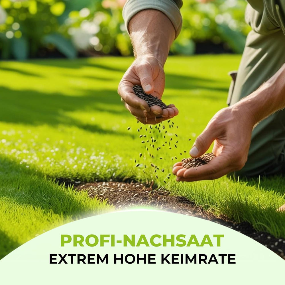 Terrauno - Rasensamen Schnellkeimend I Nachsaat Rasen I Extrem Hohe Keimrate I 1 Kg Für 50 M² I Rasensamen Trockenresistent Zur Schnellen Lückenschließung I Rasennachsaat RSM Qualität
