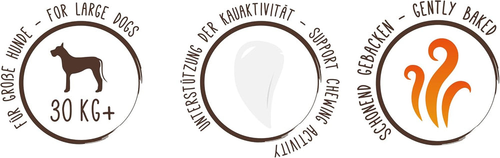 Monedas de muesli de Sammy | Snacks crujientes al horno para perros | Monedas de muesli de 5 cereales para tu amigo peludo grande (más de 30 kg) | 1 kilogramo