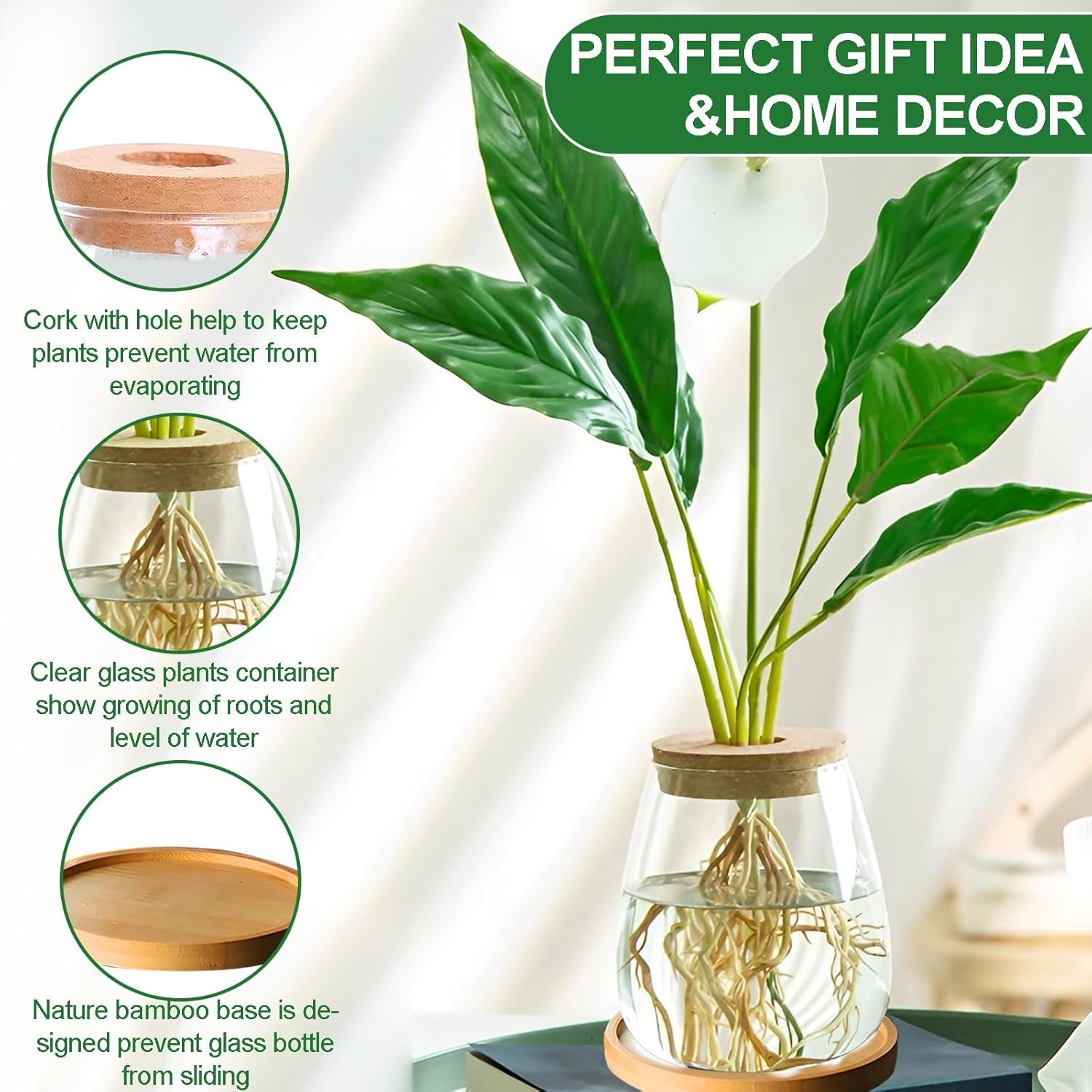 Estación de cultivo de plantas hidropónicas 12x11cm Florero de semillas de aguacate Macetero de vidrio Florero de vidrio hidropónico para plantas acuáticas o flores Decoración de mesa de escritorio 2 piezas