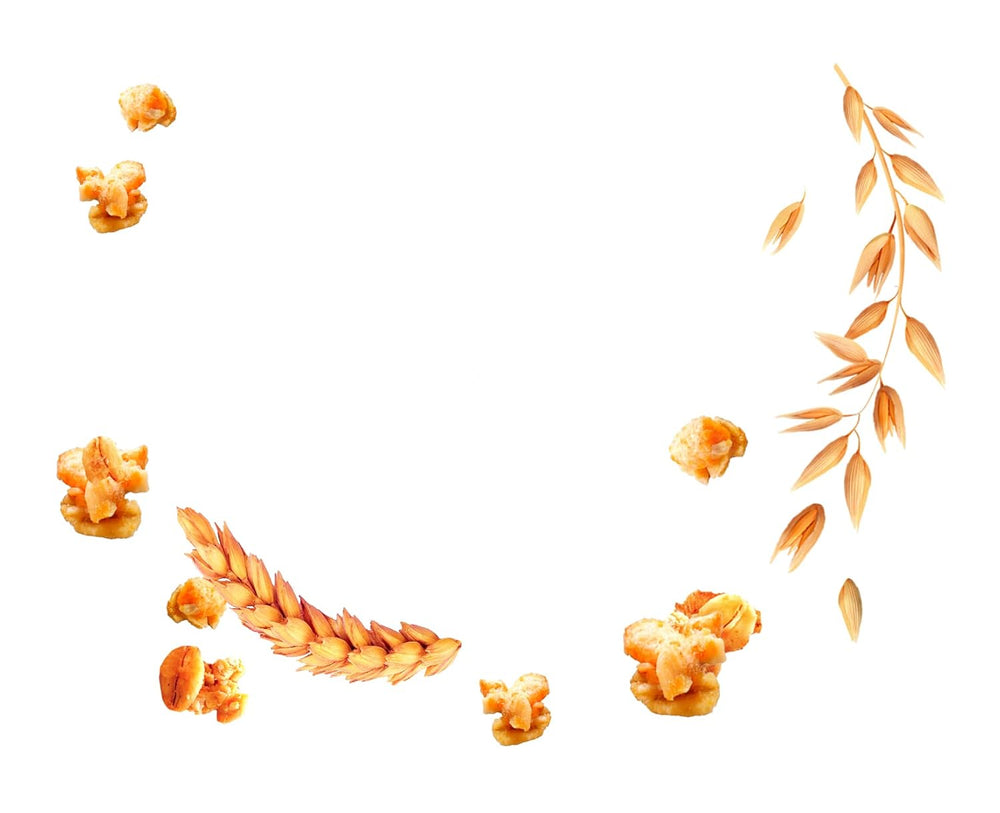 Dr. Oetker Vitalis Less Sweet Crunchy Pure: muesli crujiente con un 30 % menos de azúcar, paquete de 5 (5 x 600 g)