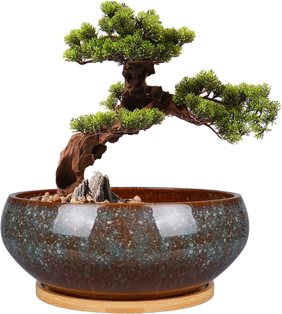 Ghiveci ceramic pentru bonsai, glazurat, puțin adânc, pentru plante suculente, cu orificiu de drenaj și farfurie din bambus pentru plante de apartament, 20,3 cm, maro