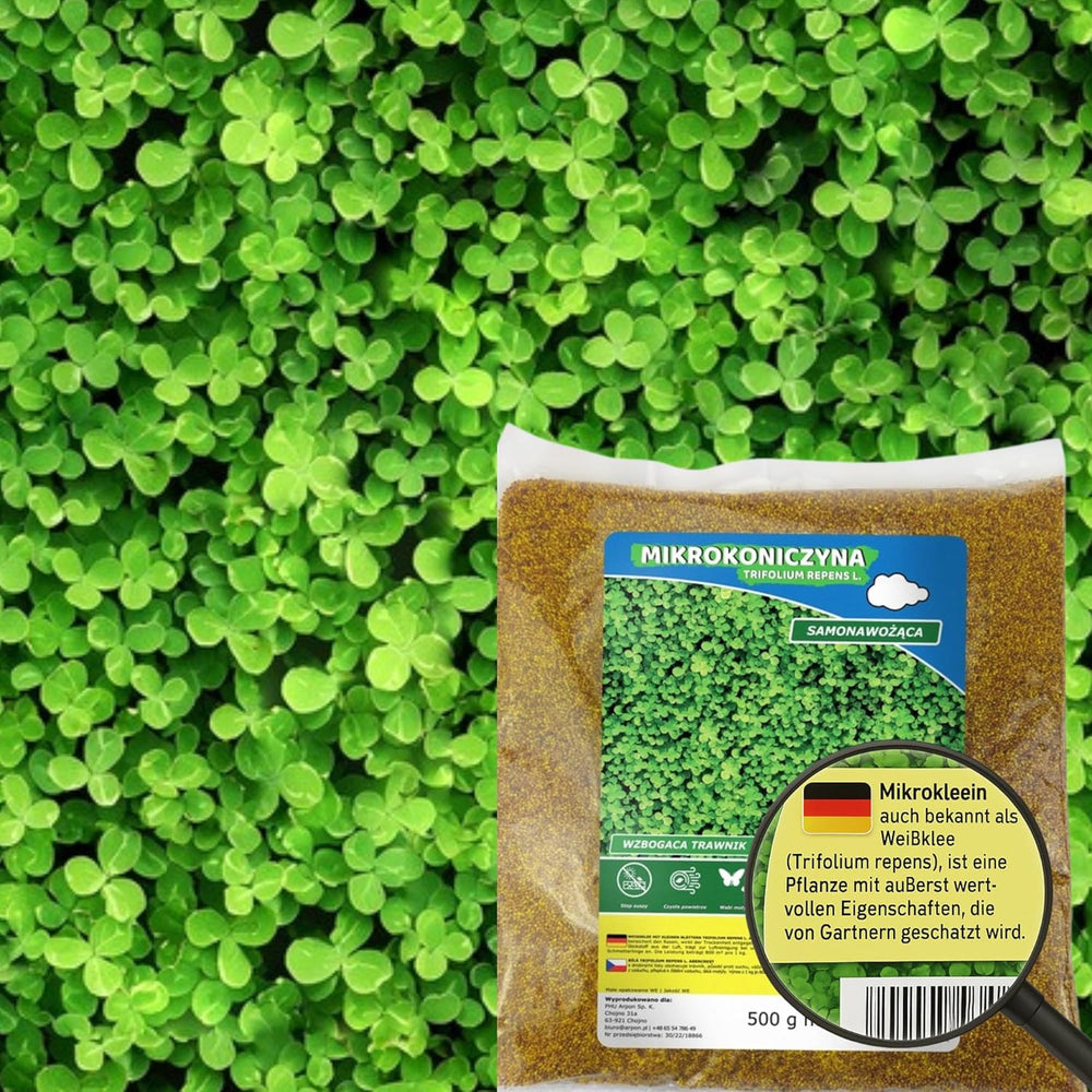 Flower Meadow - Mezcla de semillas de flores aptas para abejas - Flores silvestres y pastos para lugares secos - Semillas de flores silvestres - Mezcla de semillas anuales y perennes