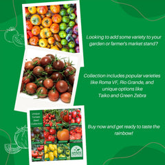 Nojus - Tomaten Samen Set – 10 Sorten – Verschiedene Tomatensamen Starter Kit - 10 Packen – Garten Samen Pflanzen Saatgut – Samen Gemüse Box 10 Sorten – Saatgut Box – Saat/Seeds