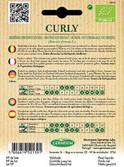 Grünkohl CURLY