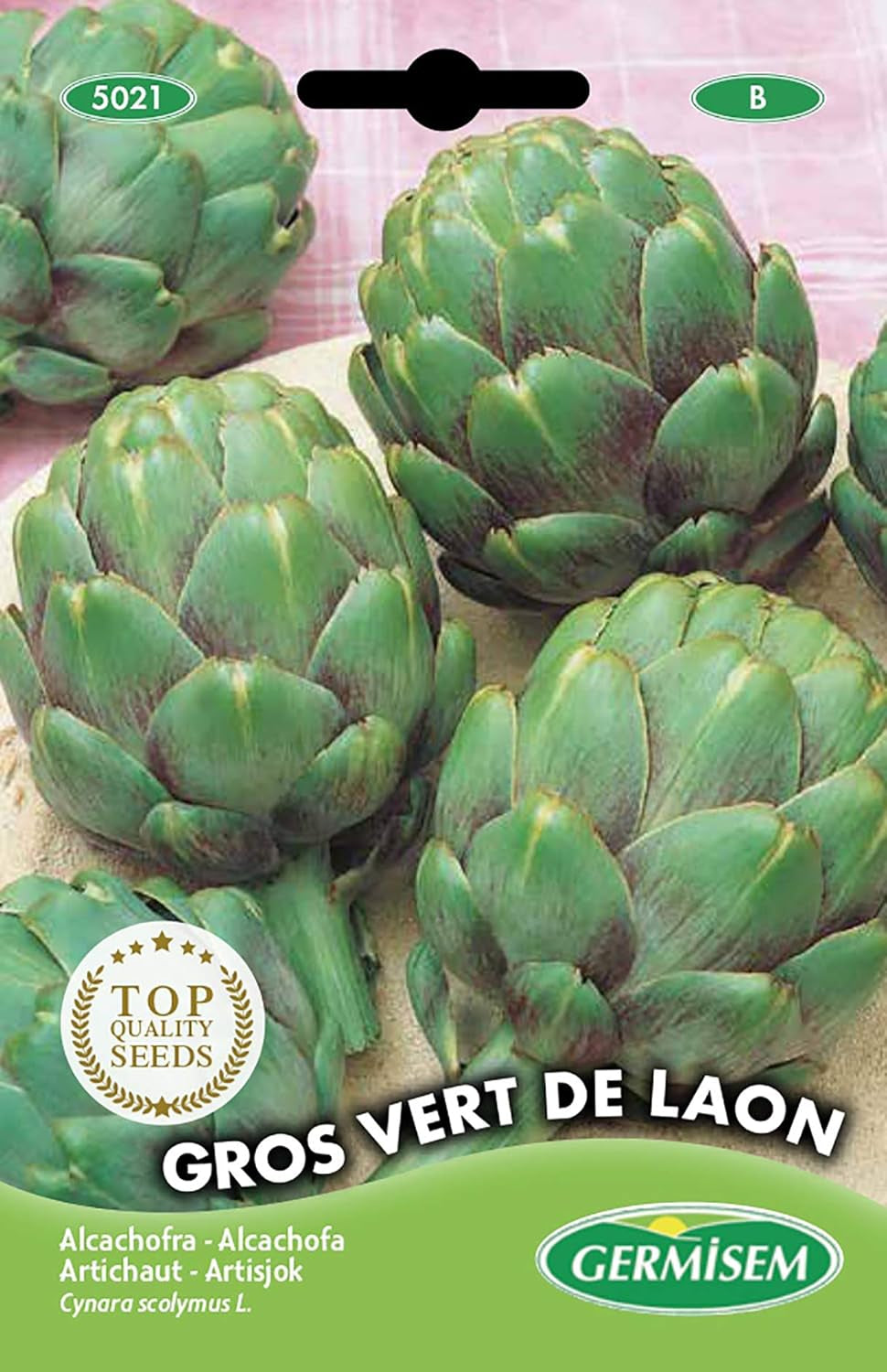 Artischocke VERT DE LAON, Mehrfarbig, EC5021
