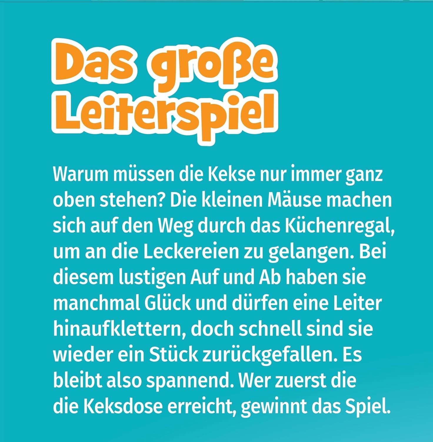 Schmidt Spiele 40553 Juego de Escalera Grande, Juego para niños, 52 x 36 cm