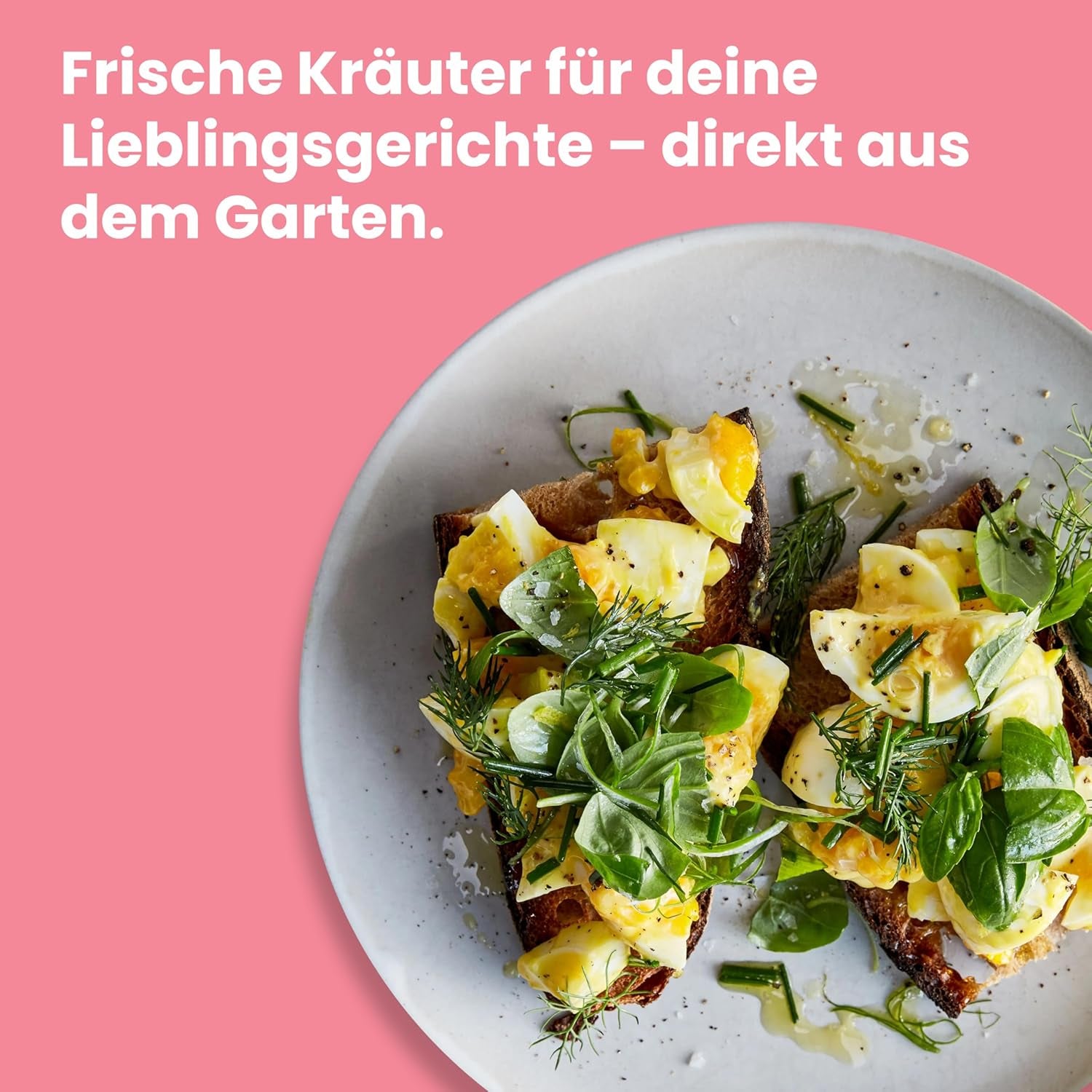 LERAVA Kräutersamen Set - 12 tipos: Basilikum Samen, Parsilie Samen, Koriander, Oregano & mehr - Saatgut für frische Kräuter im Garten oder Topf, Premium Samen für Küche & Balkon - Samen set, semillas