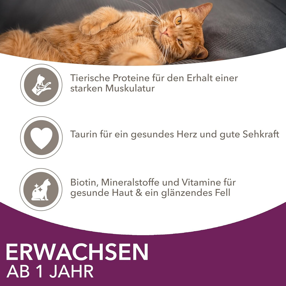 IAMS Delights Land & Sea Collection Hrană umedă pentru pisici - Pachet multiplu cu sortimente de carne și pește în sos, hrană umedă pentru pisici de la 1 an, 72 x 85 g