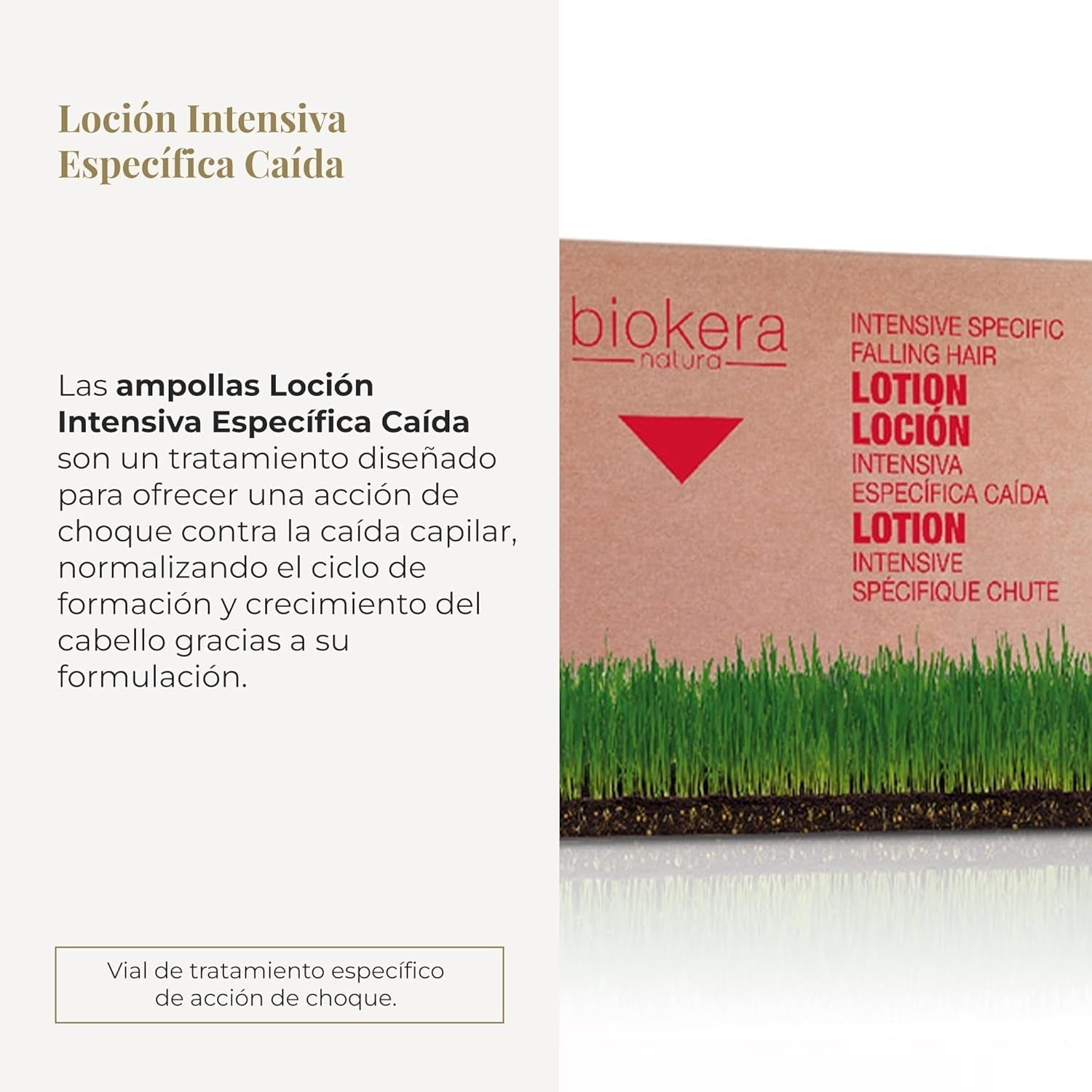 Cosmetics Loción Regeneradora Capilar Específica, pack de 6 (6 X 10 ml) Cuidado del cabello Naty Shop