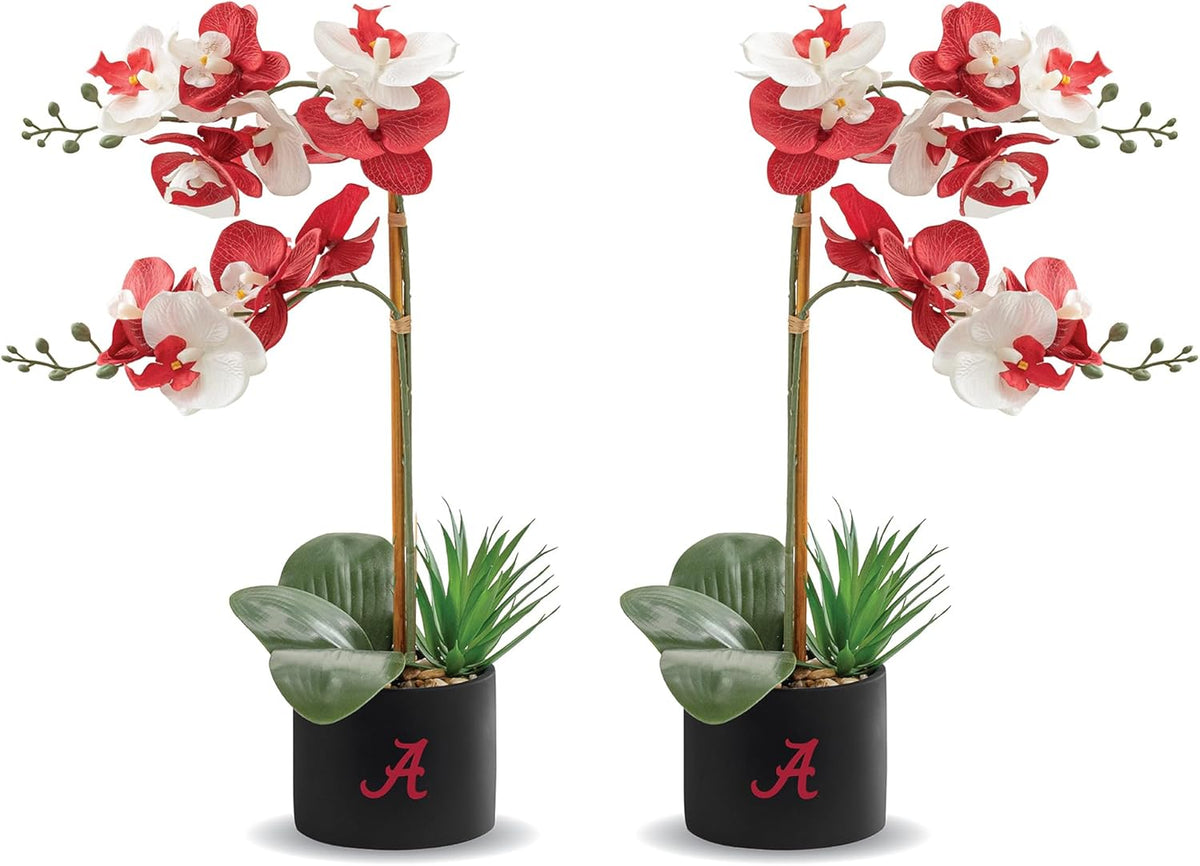 Alabama Orchidee Pflanze 2Er Set - University of Alabama Faux Orchidee Pflanze - Alabama Geschenke Für Männer, Alabama Geschenke Für Frauen - Alabama Geschenke, Crimson Tide Dekorationen - Bürozubehör