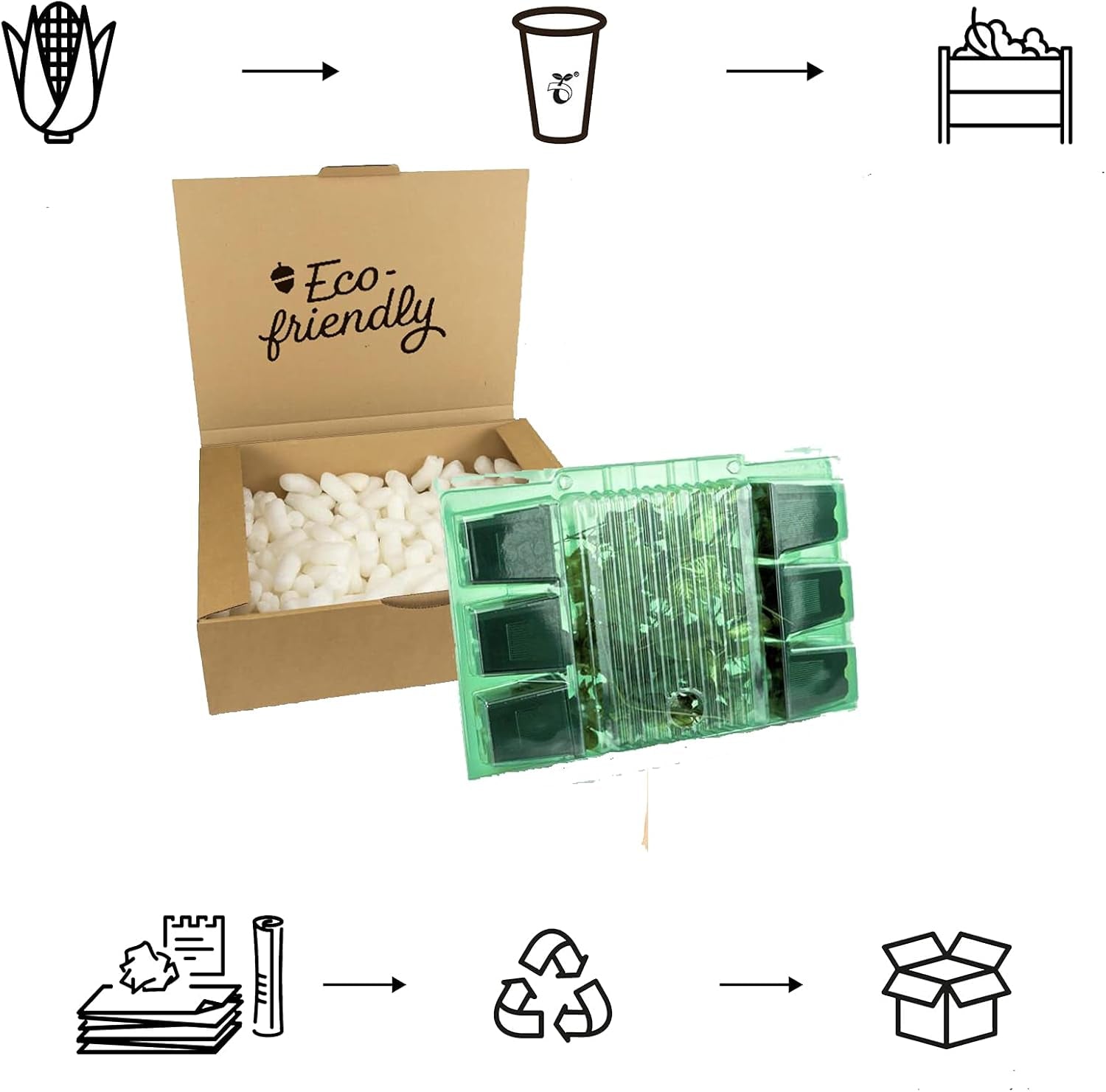 6 x Garten Scheinsonnenhut 'Doubledecker' - Maceta Echinacea Purpurea 'Doubledecker' 9x9cm: Doppelte Blüten, einzigartige Optik, zieht Bienen an, ideal für Gärten.