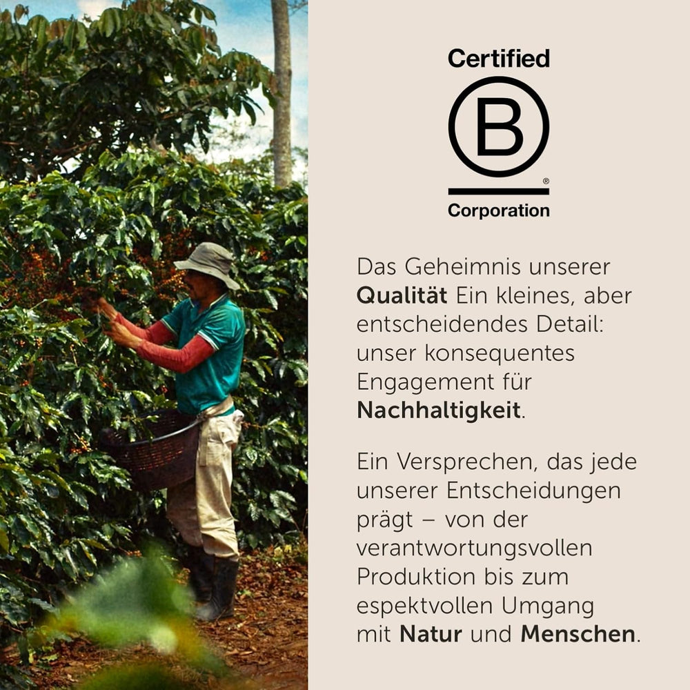 illy, Kompatible Aluminium-Kaffeekapseln CLASSICO, 100 % Arabica mit Noten von Orangenblüten und Jasmin, Sanfter Geschmack und Süßer Nachgeschmack, 10 Packungen mit 10 Kapseln (100 insgesamt)