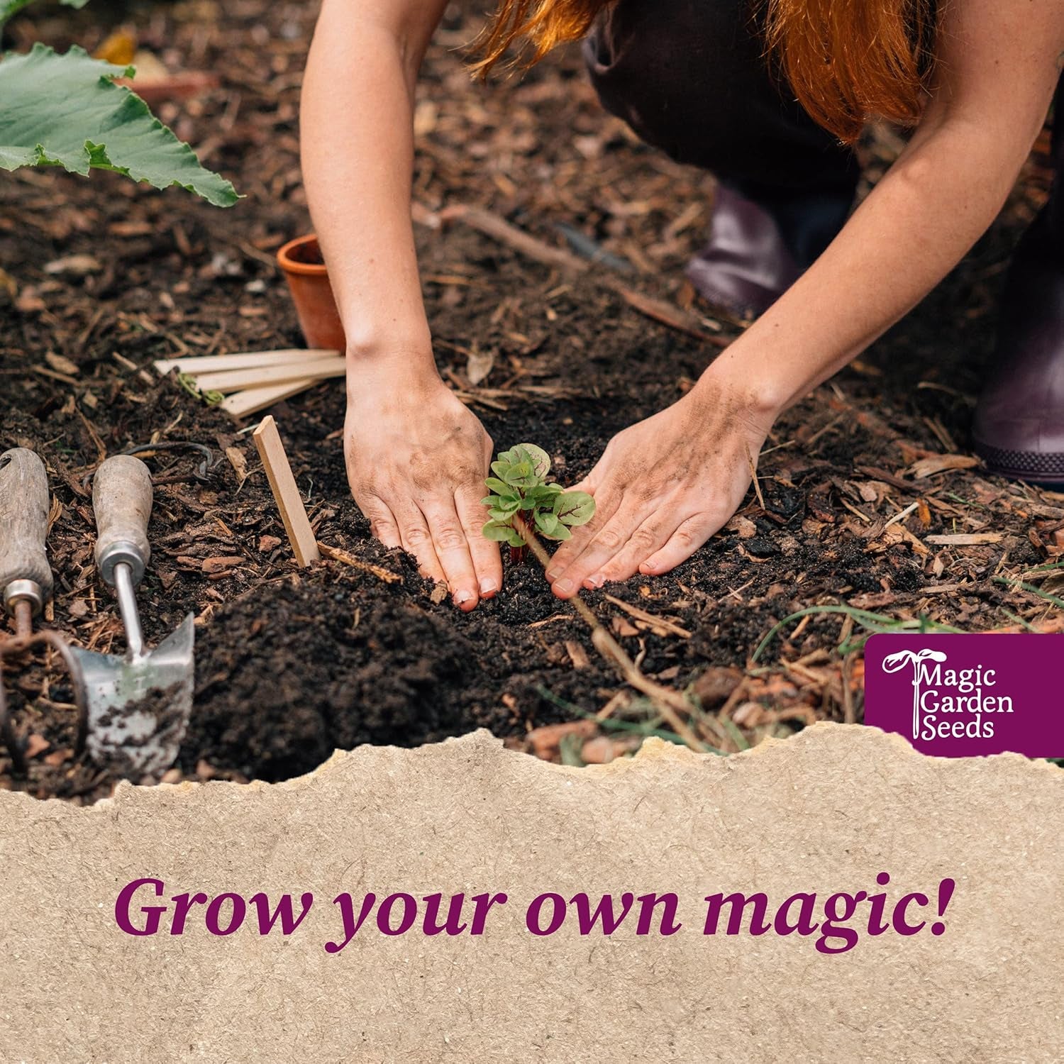 Magic Garden Seeds - Alte Erdbeersorten - Samen Geschenk Set Mit 3 Traditionellen, Köstlichen Sorten - Anzuchtset Mit Weißer Erdbeere, Roter Monatserdbeere Und Walderdbeere