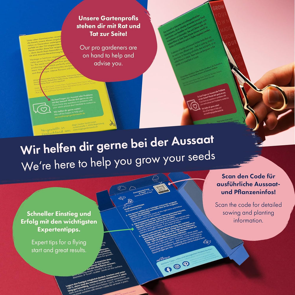 Flores Secas - 10 Variedades de Flores Polinizadas Libremente - Eternas y Hermosas - Juego de Semillas para Principiantes, como Pequeño Regalo o para Uso Personal