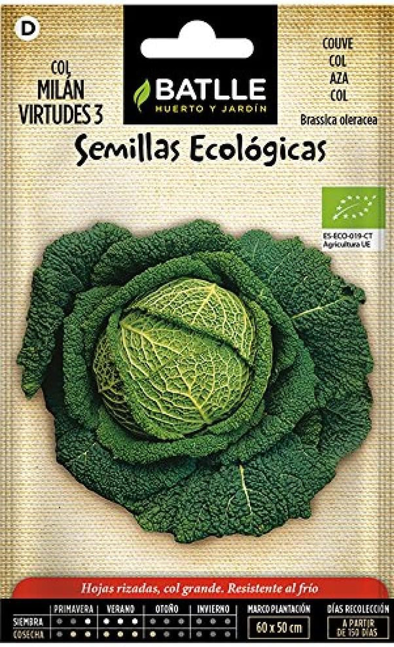 Bio Samen - Wirsingkohl Virtudes 3 (225 Samen - Bio)