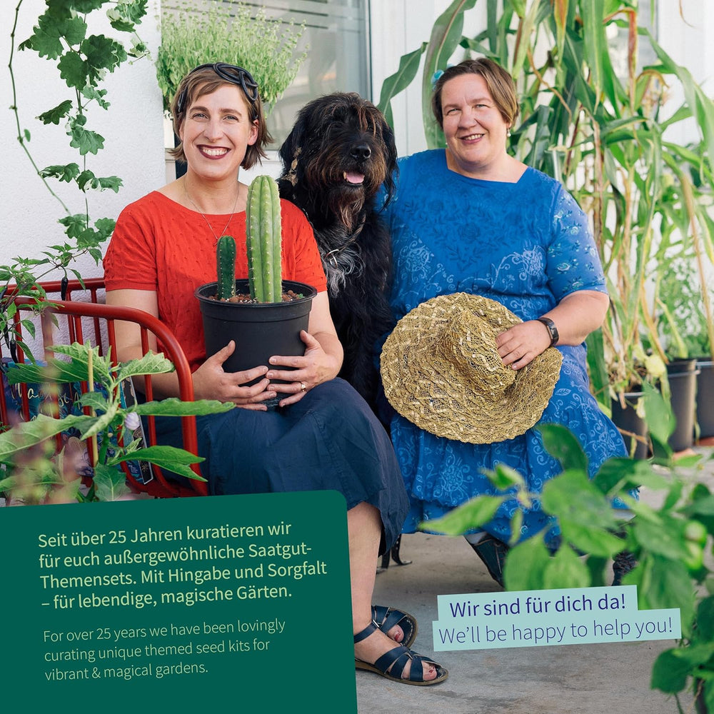 Magic Garden Seeds - Plantas Encantadas con 6 Hierbas Mágicas: Ajenjo, Ajenjo, Mandrágora y Más - Plantas de Incienso para Cultivar Tú Mismo y Regalar