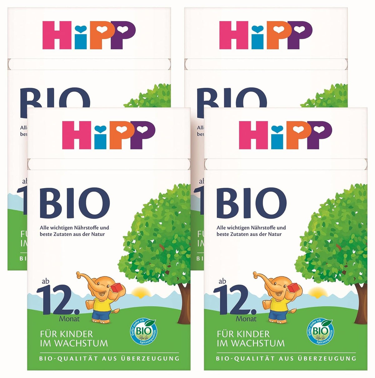 Leche de crecimiento orgánica HiPP (4 x 600 g) después de 12 meses con calcio, hierro, vitamina C y D para niños pequeños en crecimiento, la mejor calidad orgánica