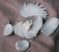 Adornos comestibles, Bautismo, Niña