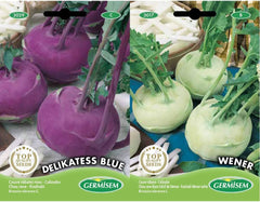 Kohlrabi DELIKATESS, Mehrfarbig, EC3029 & Kohlrabi WENER WHITE EC3017 Mehrfarbig