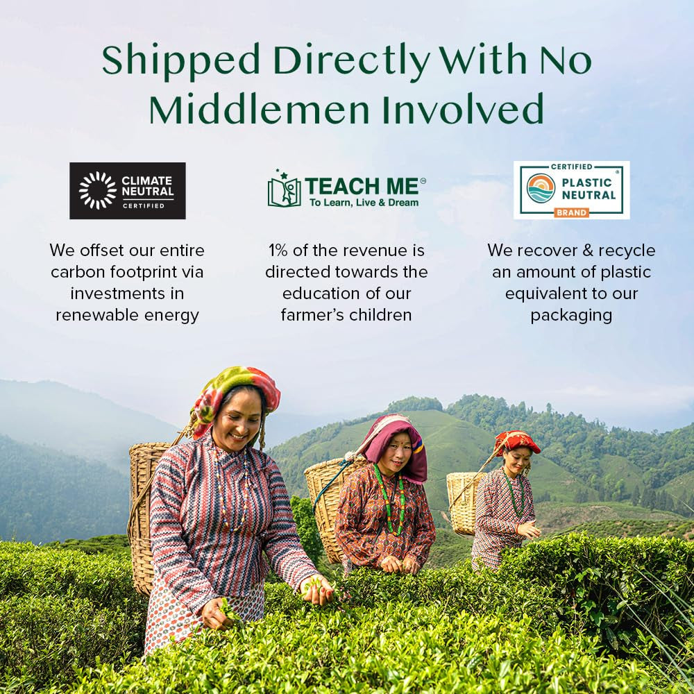 VAHDAM, ceai verde din Himalaya (30 pliculețe de ceai piramidale) 100% pur și aromat | Ceai verde natural cu frunze întregi | Proaspăt și direct de la sursa din India | Se prepară fierbinte sau rece