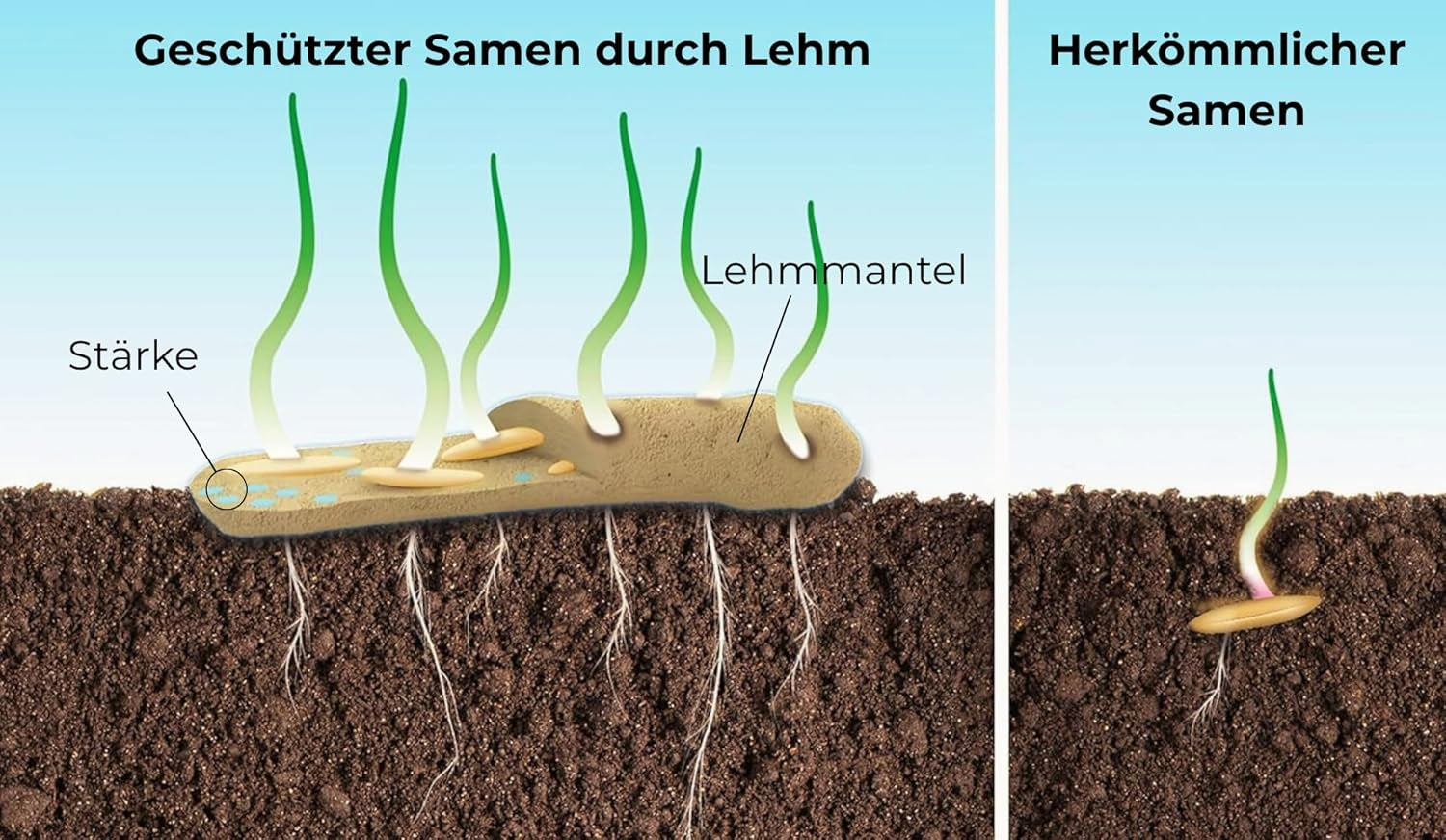 Semillas de flores en una capa protectora de arcilla para abejas y mariposas, 400g. Mezcla de flores silvestres perennes y resistentes al invierno para 20 m². Hermosas semillas de flores silvestres para un colorido pasto de abejas. Regalo para niños.