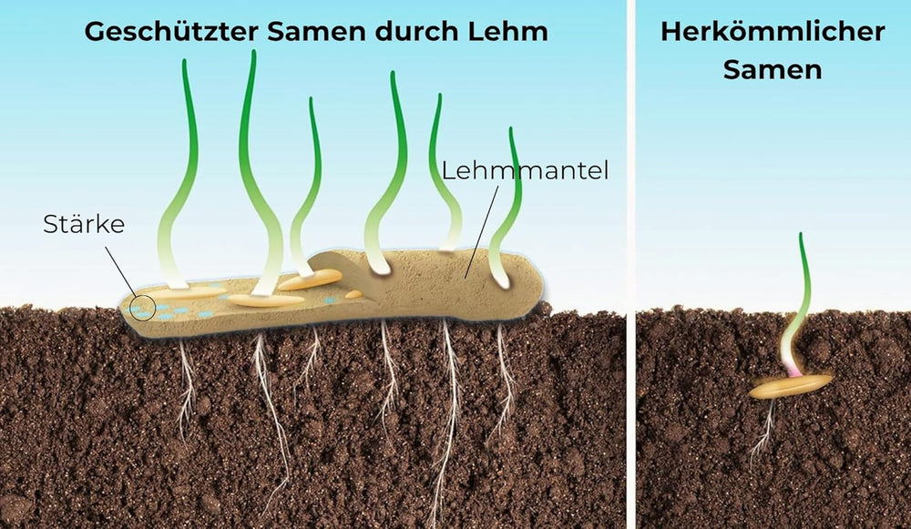 Semillas de flores en una capa protectora de arcilla para abejas y mariposas, 400g. Mezcla de flores silvestres perennes y resistentes al invierno para 20 m². Hermosas semillas de flores silvestres para un colorido pasto de abejas. Regalo para niños.