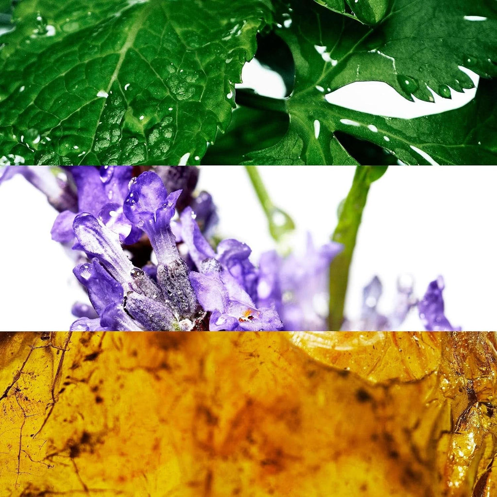 DAVIDOFF, gel de duș cu parfum aromat proaspăt de coriandru, lavandă, note verzi, pentru bărbați, 150 ml Duș și baie Naty Shop