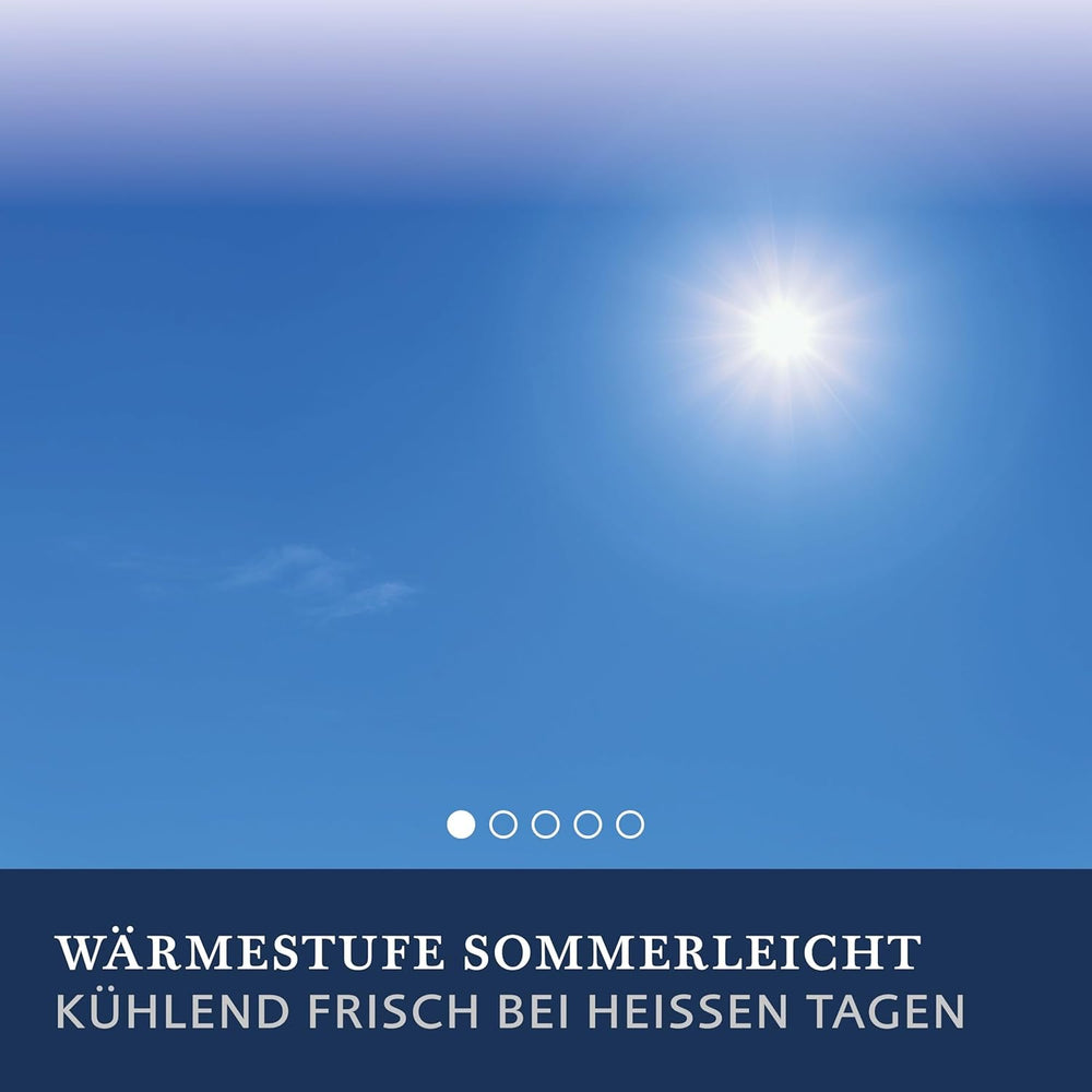 Billerbeck Lina Edredón superligero - Edredón de lino - 155 X 220 Cm - Edredón de verano, edredón refrescante, edredón ligero de verano - 70% lino, 30% algodón, blanco Edredones y edredones Naty Shop