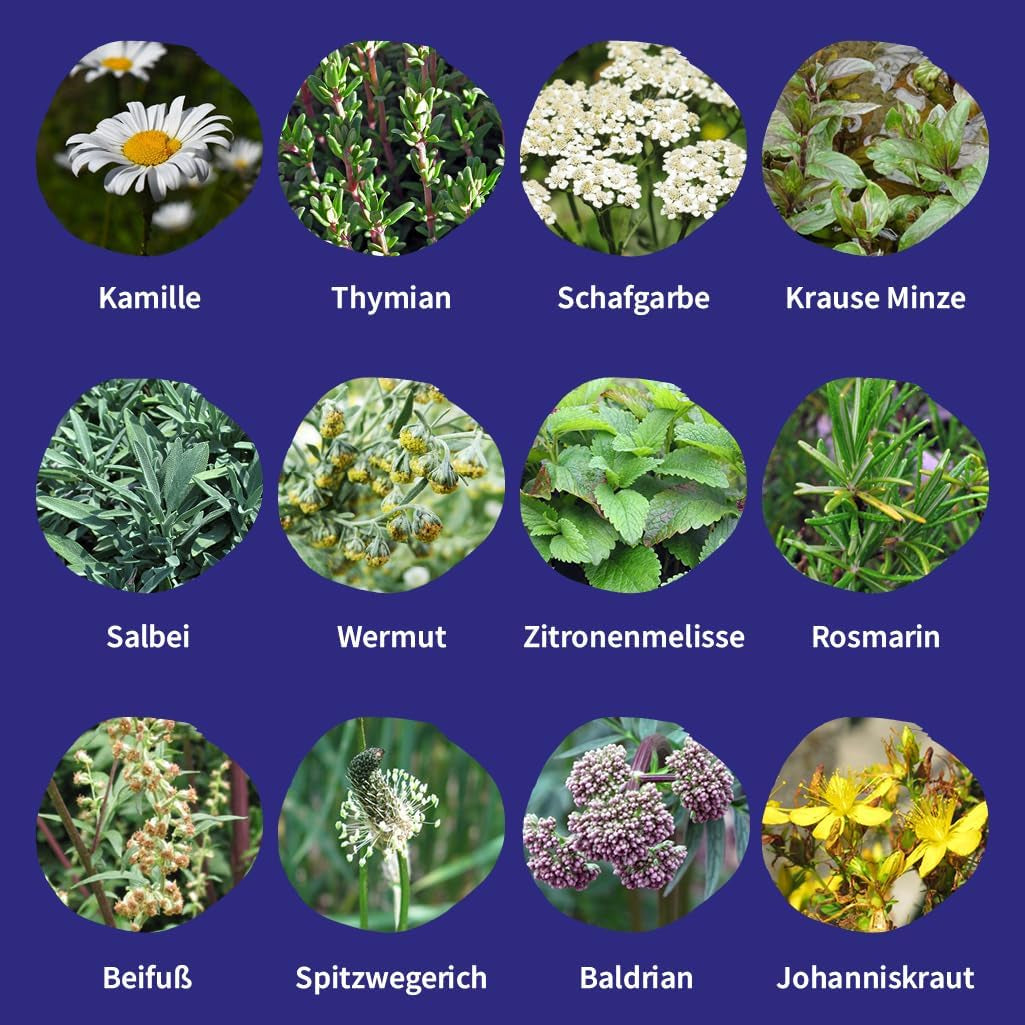 Magic Garden Seeds - 12 Samenfeste Heilkräutersamen Für Garten, Hochbeet & Balkon - Traditionell & Wohltuend - Kräutersamen - Saatgut - Kräuter Samen Set - Geschenk Für Gartenliebhaber